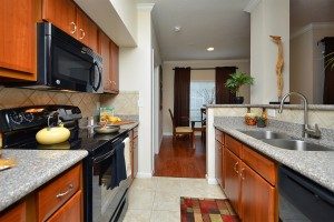 Two bedroom apartments for rent in Houston