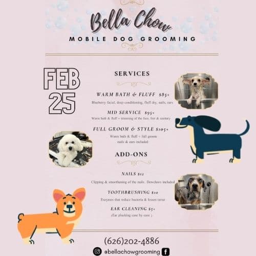 Apartments For Rent Midtown Houston Flyer for Bella Chow Mobile Dog Grooming features services like warm bath & fluff, full groom & style, add-ons like nail clipping & toothbrushing, and cute dog illustrations with date Feb 25. Contact: (626) 202-4886.