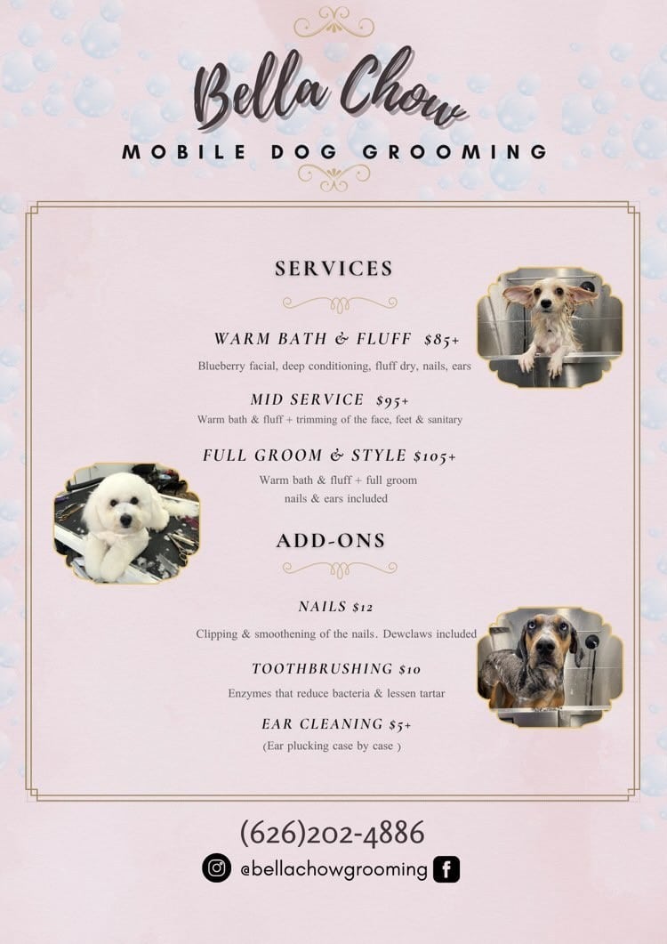 Apartments For Rent Midtown Houston Mobile dog grooming services menu for Bella Chow featuring prices for Warm Bath & Fluff, Mid Service, Full Groom & Style, add-ons such as nail clipping, tooth brushing, and ear cleaning. Contact info included.