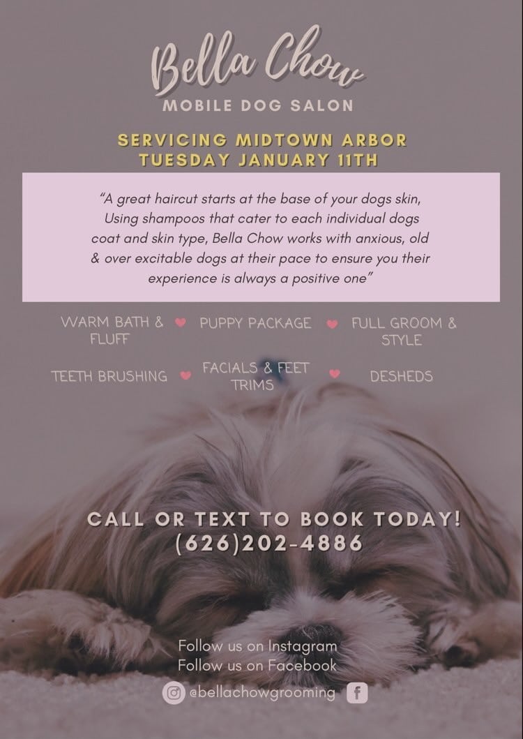 Apartments For Rent Midtown Houston Promotional flyer for Bella Chow Mobile Dog Salon featuring services like warm baths, teeth brushing, grooming, facials, foot trims, and de-shedding. Includes contact information and social media links.