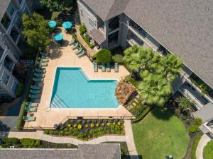 Apartments in Houston, Texas - Aerial View of Community Pool and Surroundings