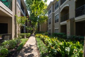Apartments in Houston, Texas - Exterior Apartment Buildings with Lush Greenery