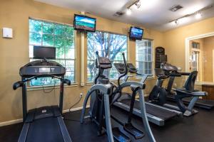 Apartments For Rent in Houston, Texas - Fitness Center with Equipment and TVs