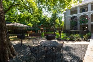 Apartments For Rent in Houston, TX - Outdoor Grilling Area with Table and View of Dog Park